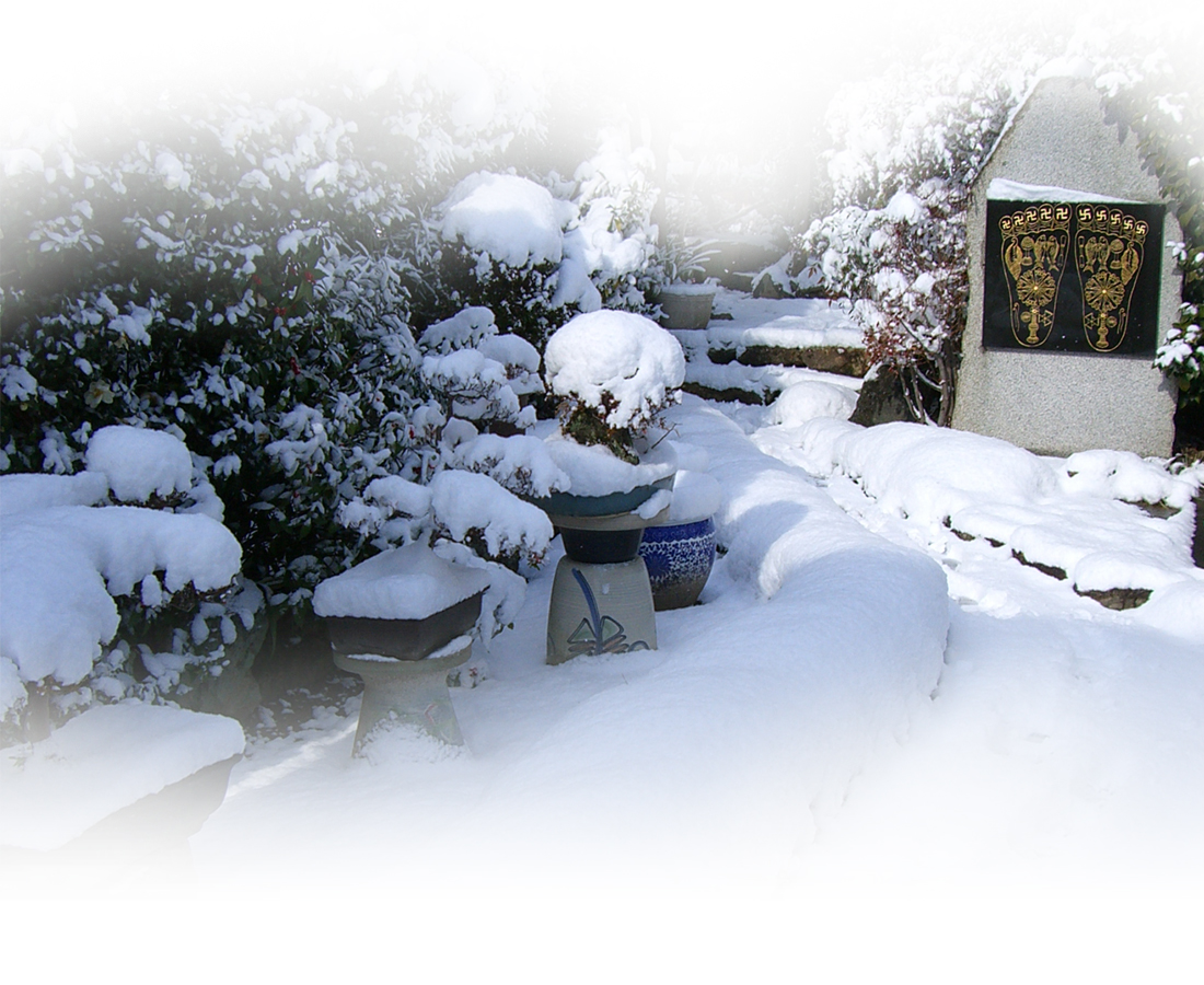 太春寺（たいしゅんじ）冬の風景